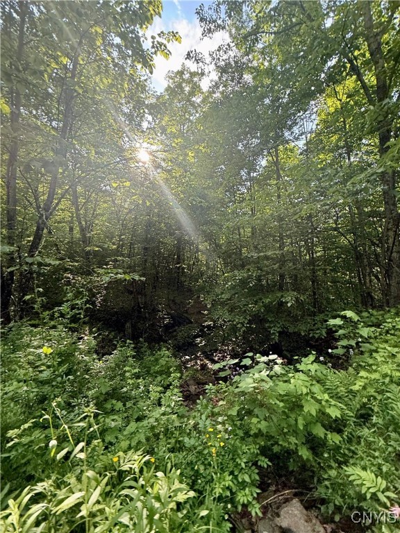 279 Wales Road Sherburne, NY 13460 - Photo 27 of 43