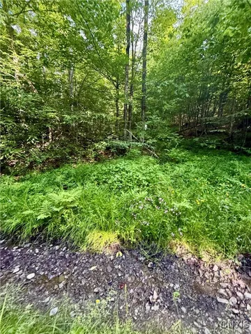 $135,000 | 279 Wales Road, Sherburne, NY 13460