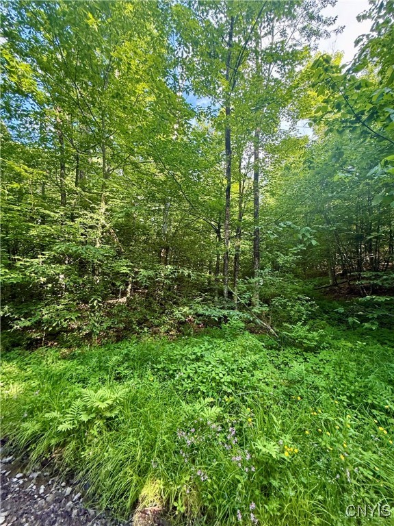 279 Wales Road Sherburne, NY 13460 - Photo 29 of 43