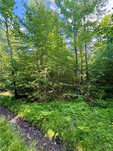 $135,000 | 279 Wales Road, Sherburne, NY 13460