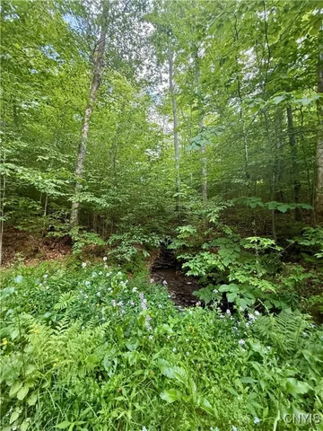 $135,000 | 279 Wales Road, Sherburne, NY 13460