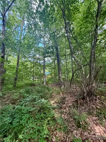 $135,000 | 279 Wales Road, Sherburne, NY 13460