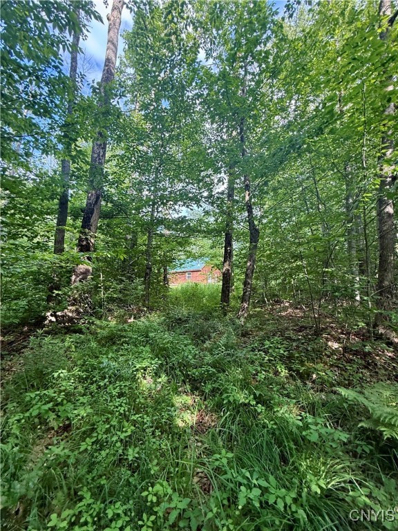 279 Wales Road Sherburne, NY 13460 - Photo 33 of 43