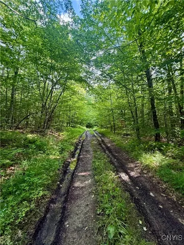 $135,000 | 279 Wales Road, Sherburne, NY 13460