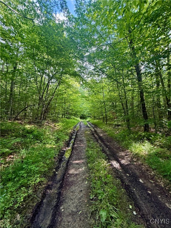 279 Wales Road Sherburne, NY 13460 - Photo 34 of 43