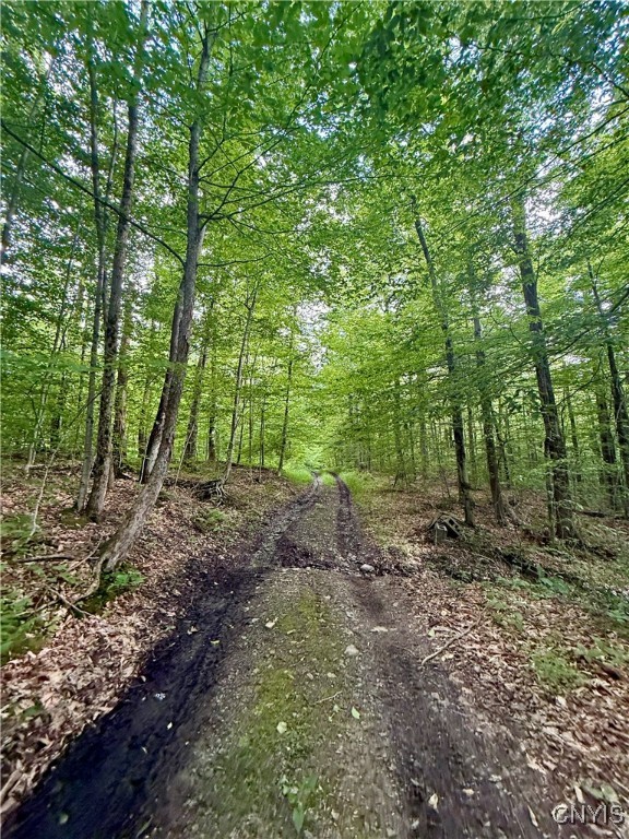 279 Wales Road Sherburne, NY 13460 - Photo 35 of 43