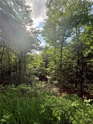 $135,000 | 279 Wales Road, Sherburne, NY 13460