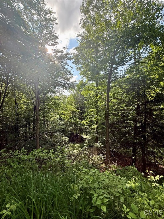 279 Wales Road Sherburne, NY 13460 - Photo 36 of 43