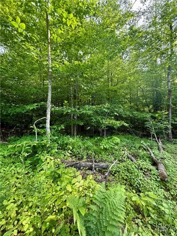 $135,000 | 279 Wales Road, Sherburne, NY 13460