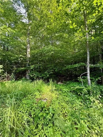 $135,000 | 279 Wales Road, Sherburne, NY 13460