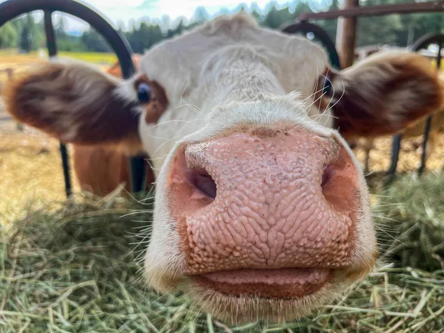 $1,080,000 | 11897 West Hidden Valley Road, Rathdrum, ID 83858