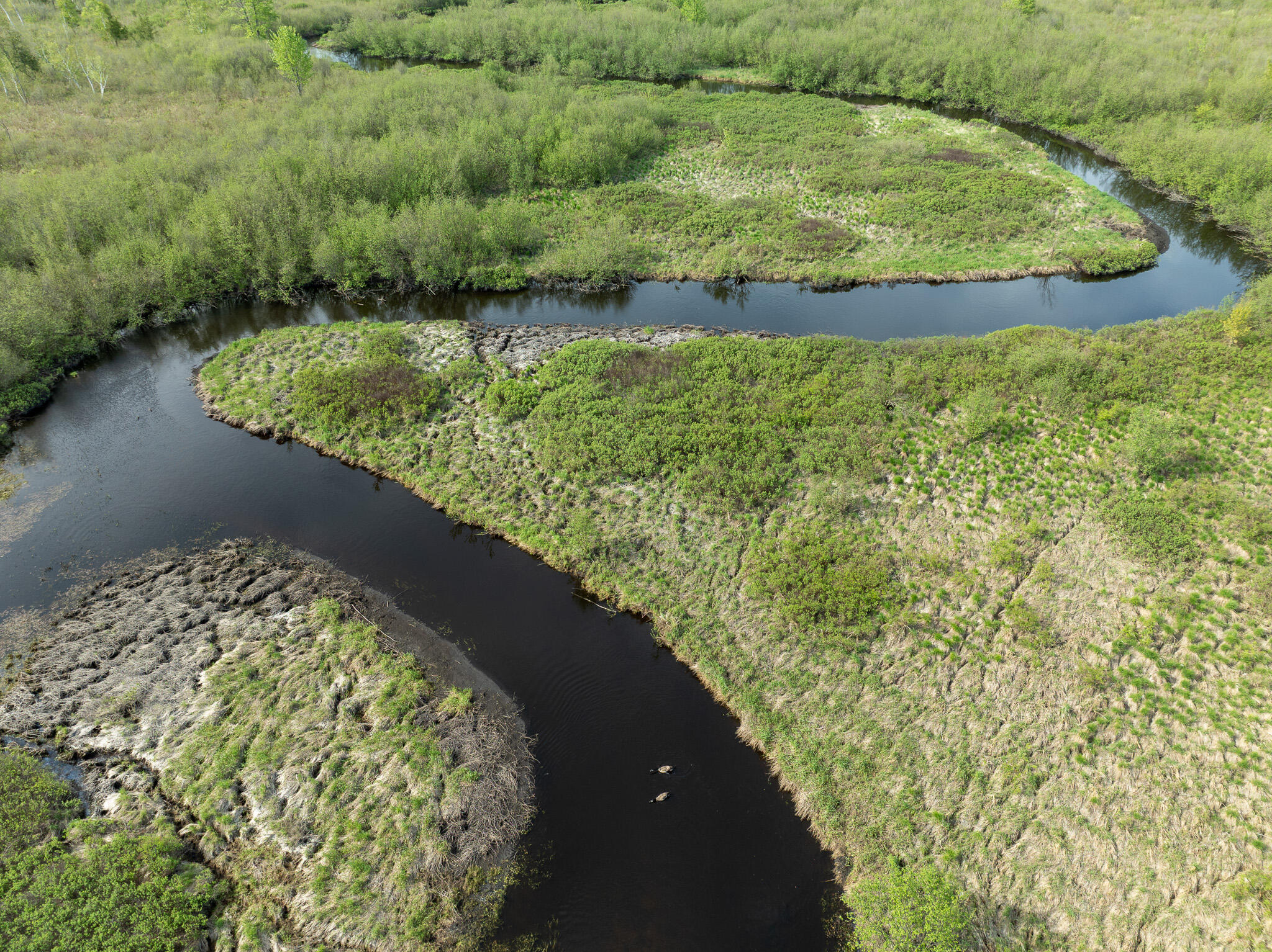 3 3 Mile Road Sears, MI 49679 - Photo 30 of 62 DJI_0345