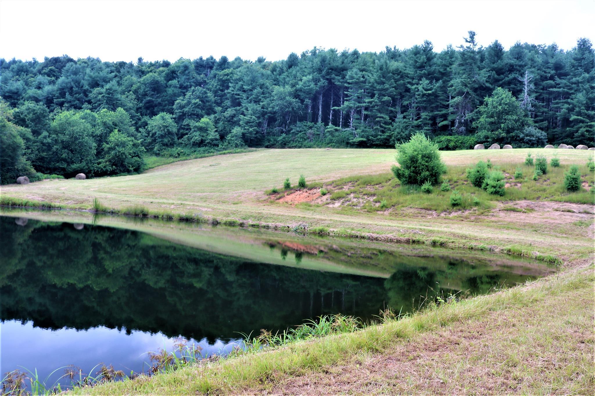 0 Black Ridge Road Southwest Floyd, VA 24091 - Photo 19 of 34 Gallery Image 19