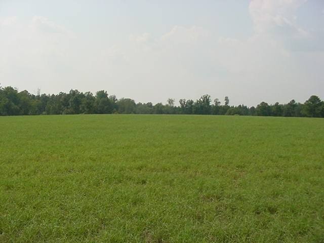 1531 Montrose Road Raeford, NC 28376 - Photo 3 of 5 Additional Photo