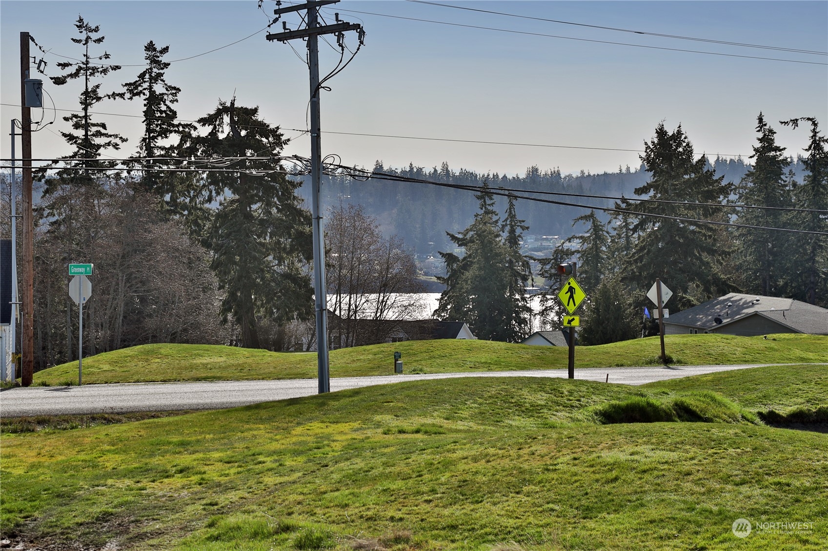5009 Eagle Ridge Drive Freeland, WA 98249 - Photo 37 of 40 a backyard of a house with lots of green space