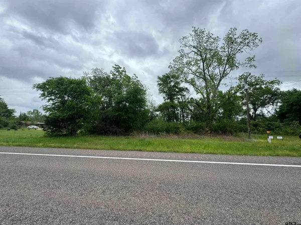 a view of road and grass