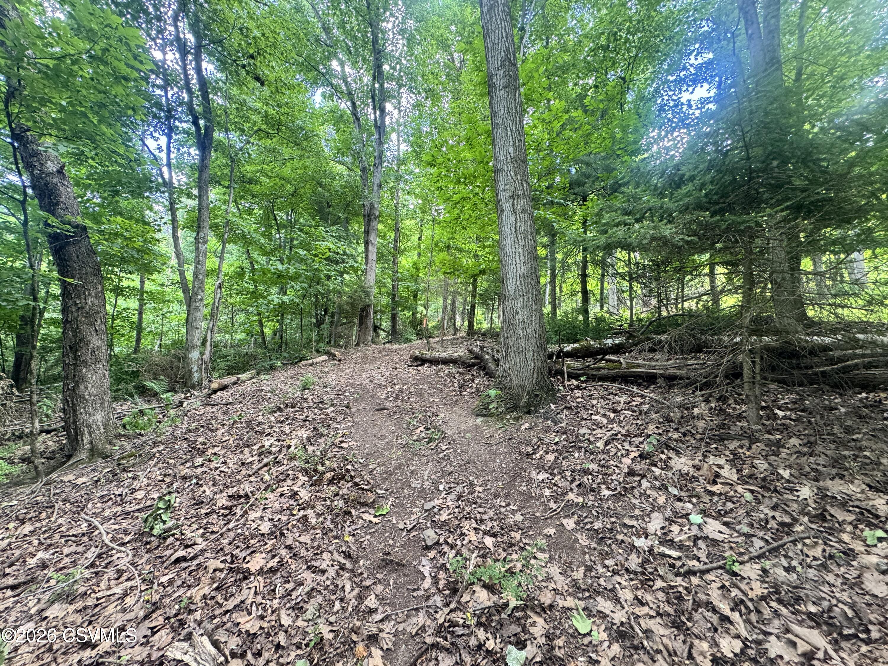 Lot #6 Old Reading Road Sunbury, PA 17801 - Photo 4 of 9