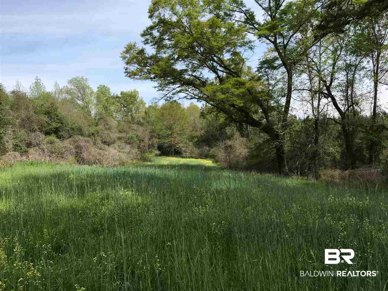 1178 Dry Lake Road Luverne, AL 36049 - Photo 33 of 50