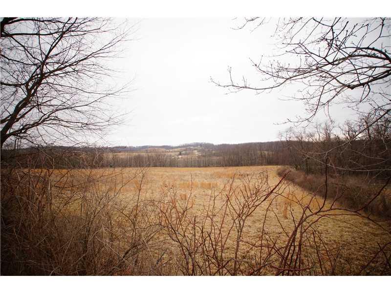 286 Rowes Run Road Grindstone, PA 15442 - Photo 20 of 21 Land.