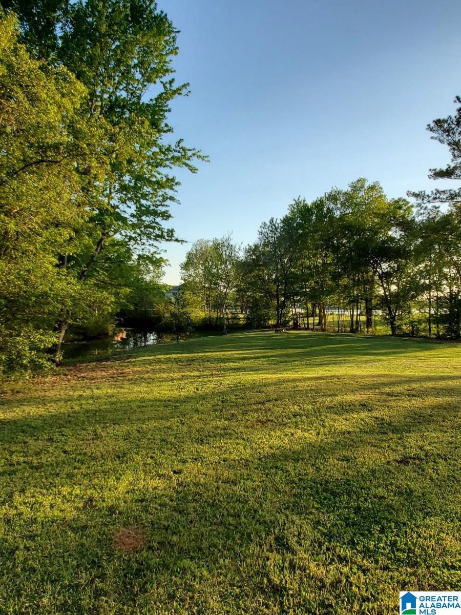 253 Carleton Point Lane, Unit 12 Wilsonville, AL 35186 - Photo 4 of 24