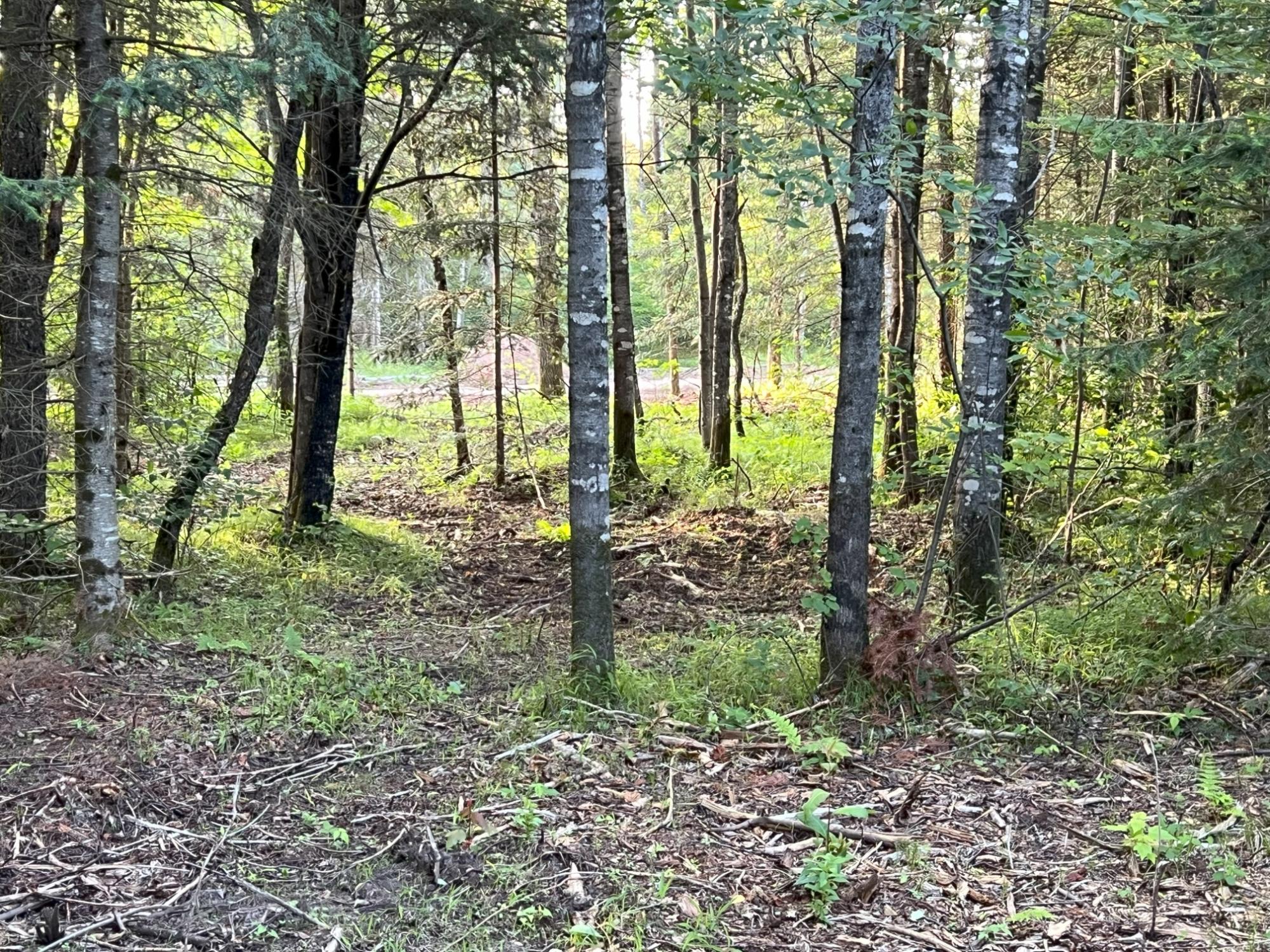 Lt 5-off River Hill Road Conover, WI 54519 - Photo 14 of 15 Gallery Image 14