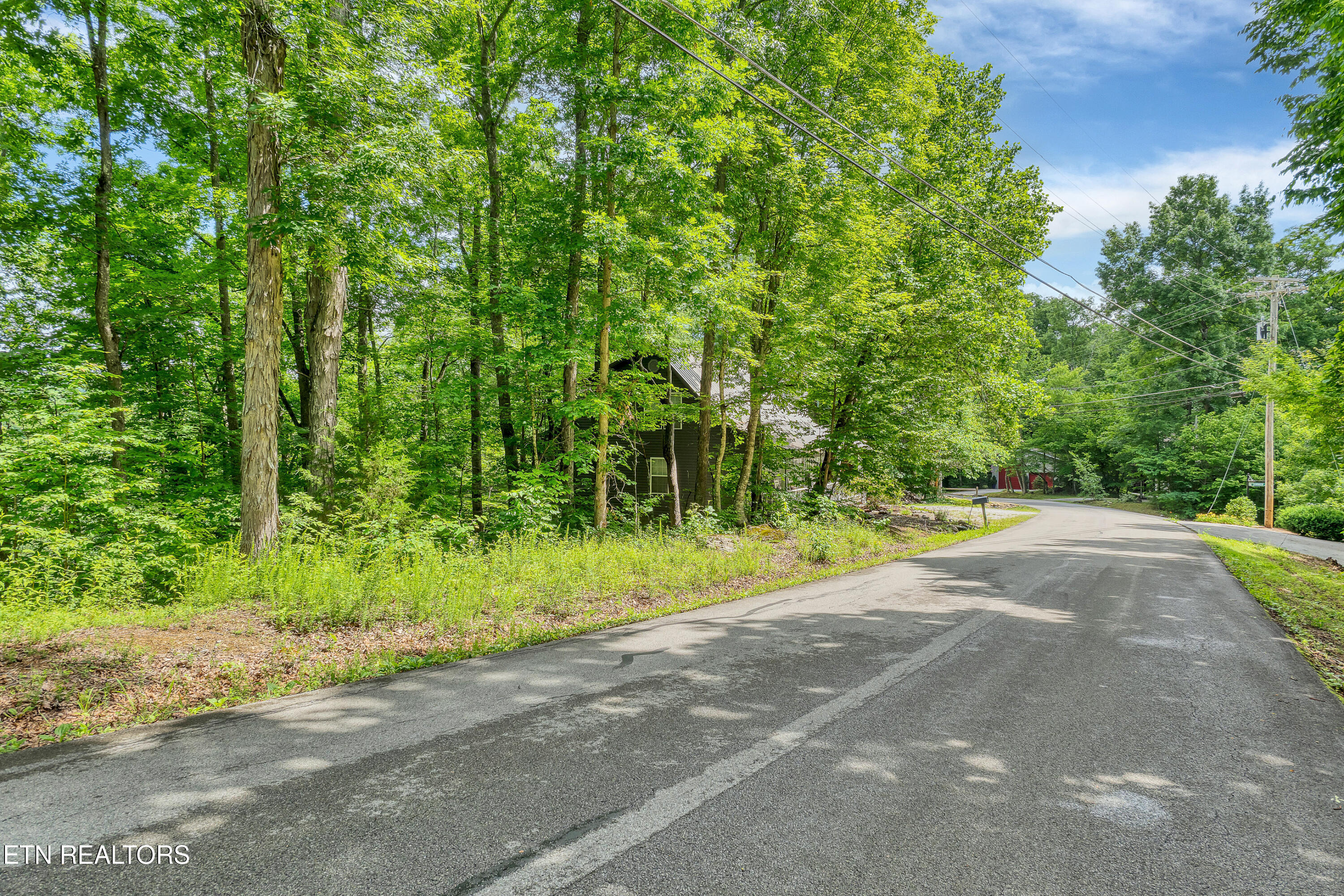 424 Laurel Road Townsend, TN 37882 - Photo 3 of 4 DSC01230_15-2