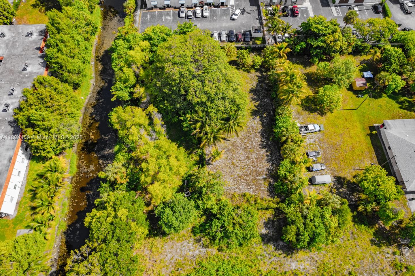 a view of a plant with lots of bushes