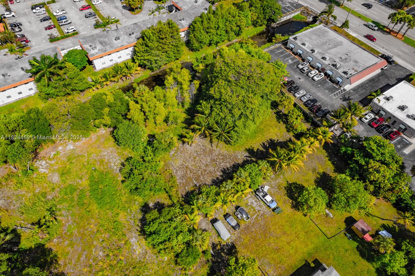 6214 Edwards Road Pompano Beach, FL 33063 - Photo 3 of 41 view of a large tree with plants and large trees
