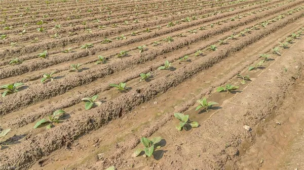 $89,000 | 0 Nc 268, Elkin, NC 28621