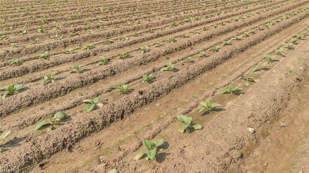 0 Nc 268 Elkin, NC 28621 - Photo 14 of 15