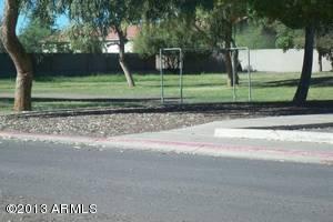 0004_1407509015_medium[1]