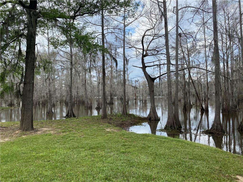 173 Pinckard Road Colfax, LA 71417 - Photo 8 of 10 Gallery Image 8
