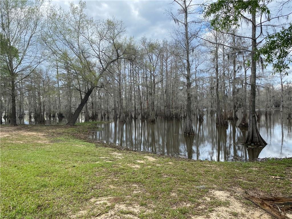 173 Pinckard Road Colfax, LA 71417 - Photo 9 of 10 Gallery Image 9