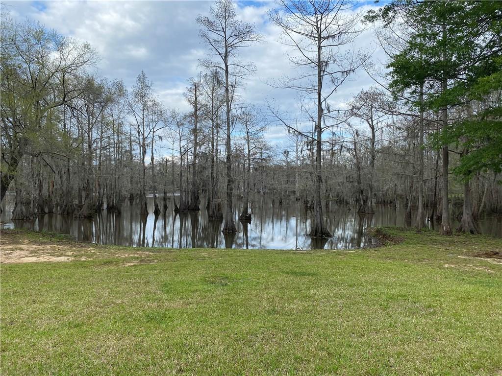 173 Pinckard Road Colfax, LA 71417 - Photo 10 of 10 Gallery Image 10