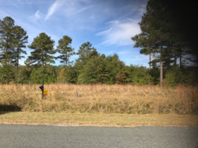 Lot 10 Burkelo Road Wagener, SC 29164 - Photo 16 of 18