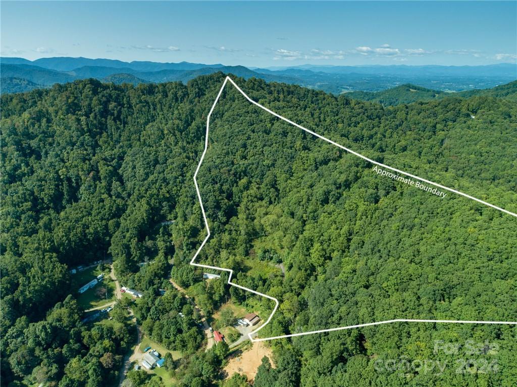 58 Grooms Road Candler, NC 28715 - Photo 3 of 12 a view of a lush green forest with a mountain