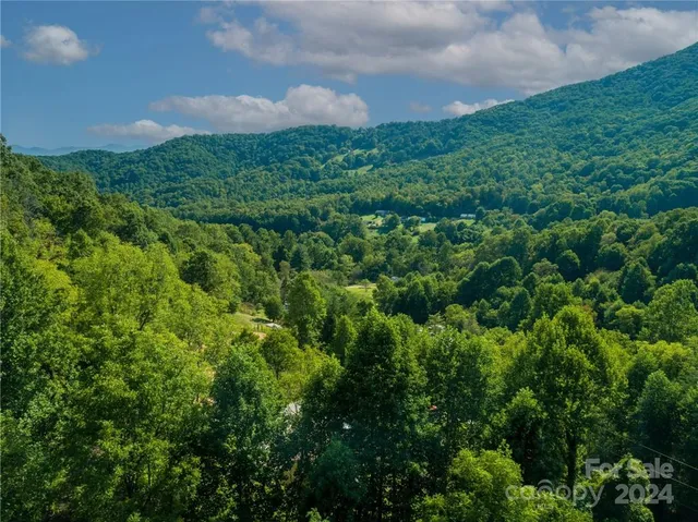 a view of a green field with lots of bushes