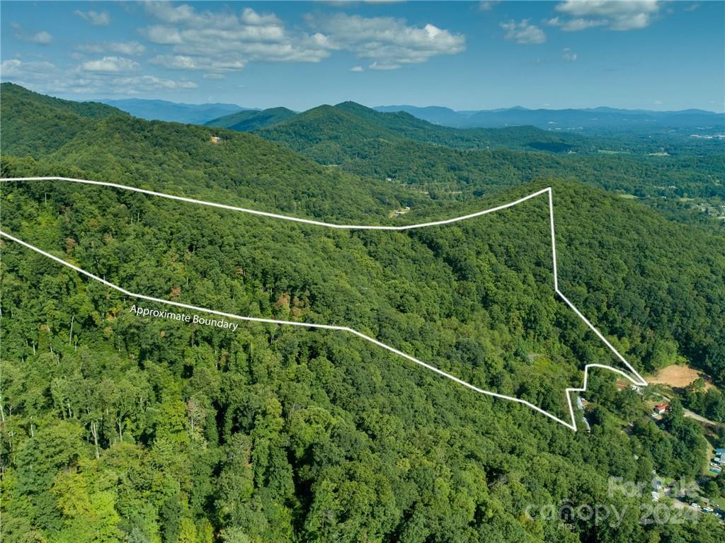 58 Grooms Road Candler, NC 28715 - Photo 6 of 12 a view of a balcony with a plant