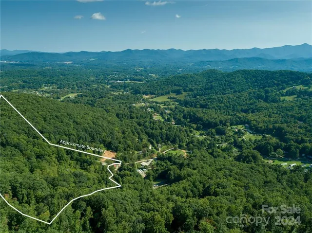 a view of a lush green hillside and a mountain view