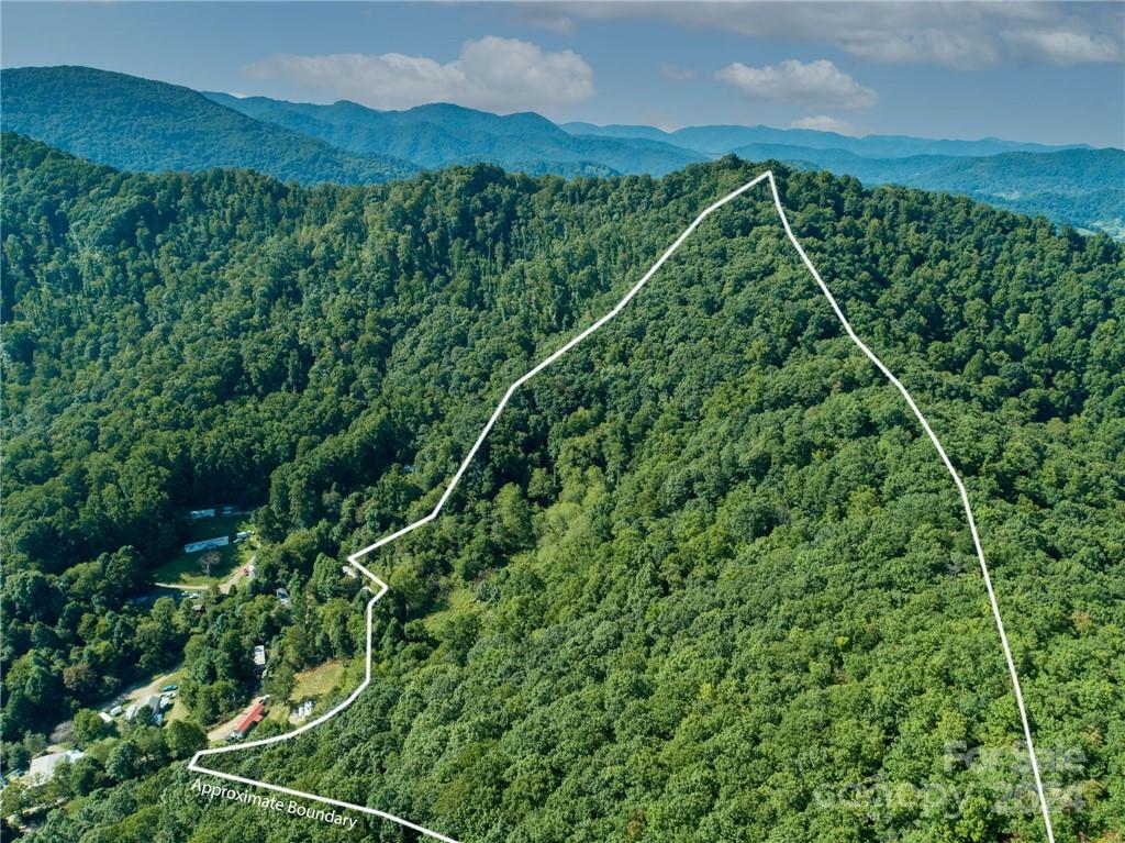 58 Grooms Road Candler, NC 28715 - Photo 10 of 12 a view of a lush green forest with a street