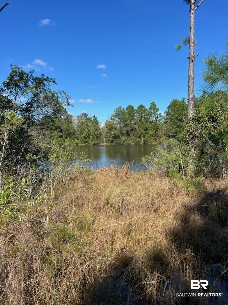 14780 Bellingrath Road Coden, AL 36523 - Photo 6 of 10 Property view of water