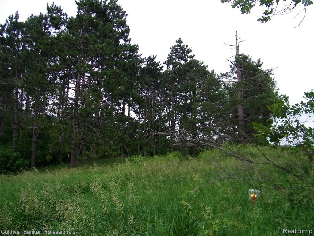 4770 Slattery Road North Branch, MI 48461 - Photo 8 of 17