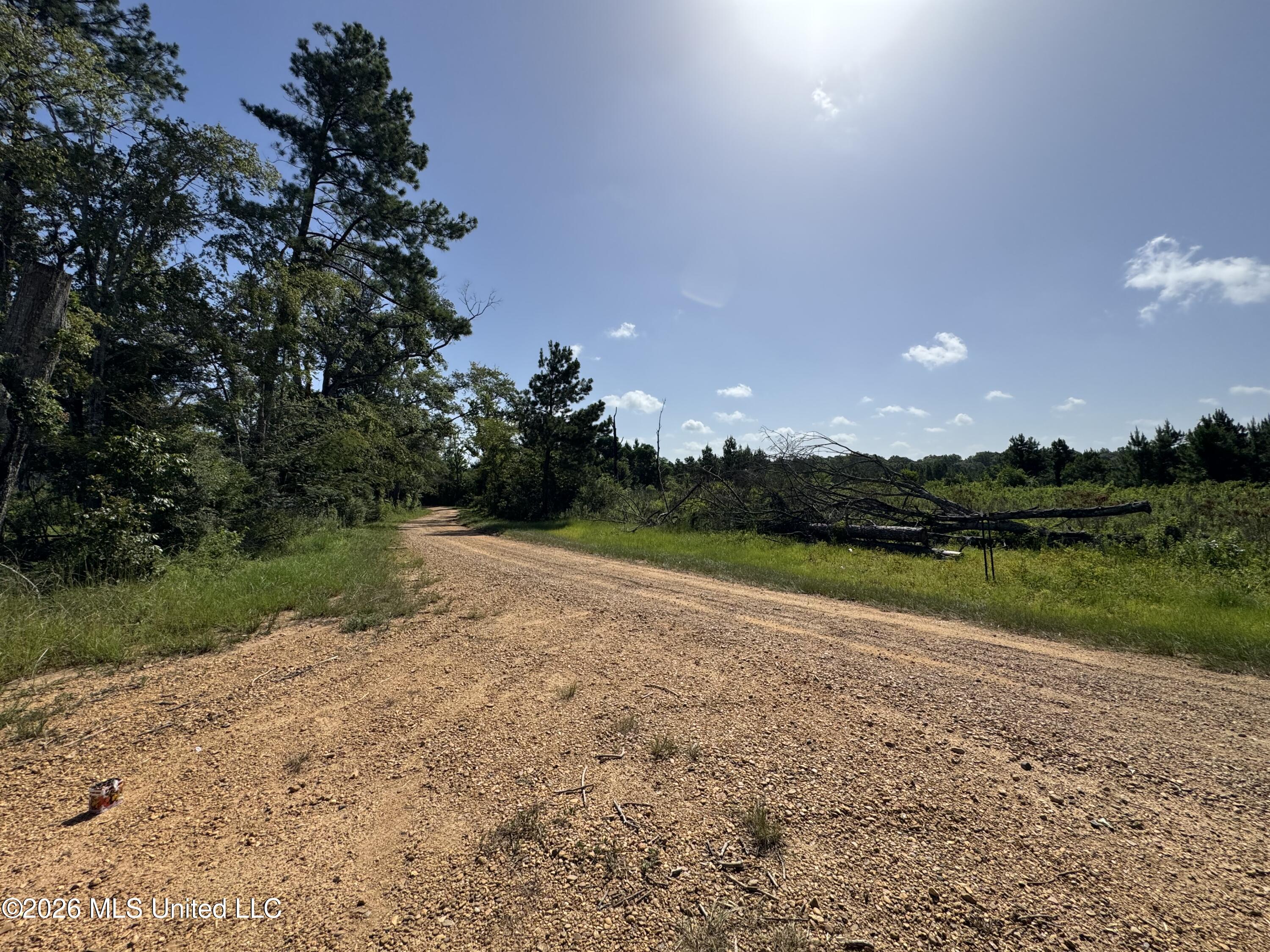 32 A Sauls Road Ruth, MS 39662 - Photo 7 of 22 Land-for-sale-Ruth-MS (6)