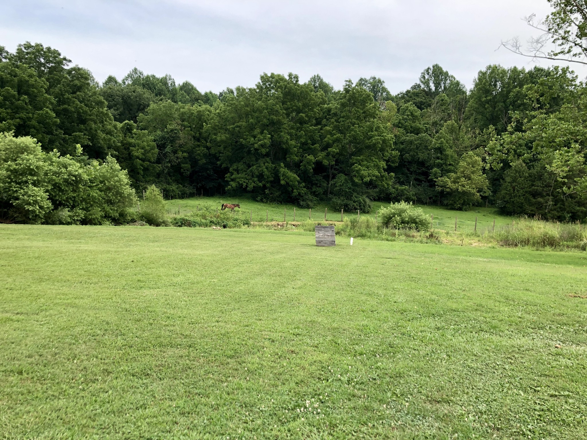 1365 Turkey Creek Road Dickson, TN 37055 - Photo 3 of 17 Gallery Image 3