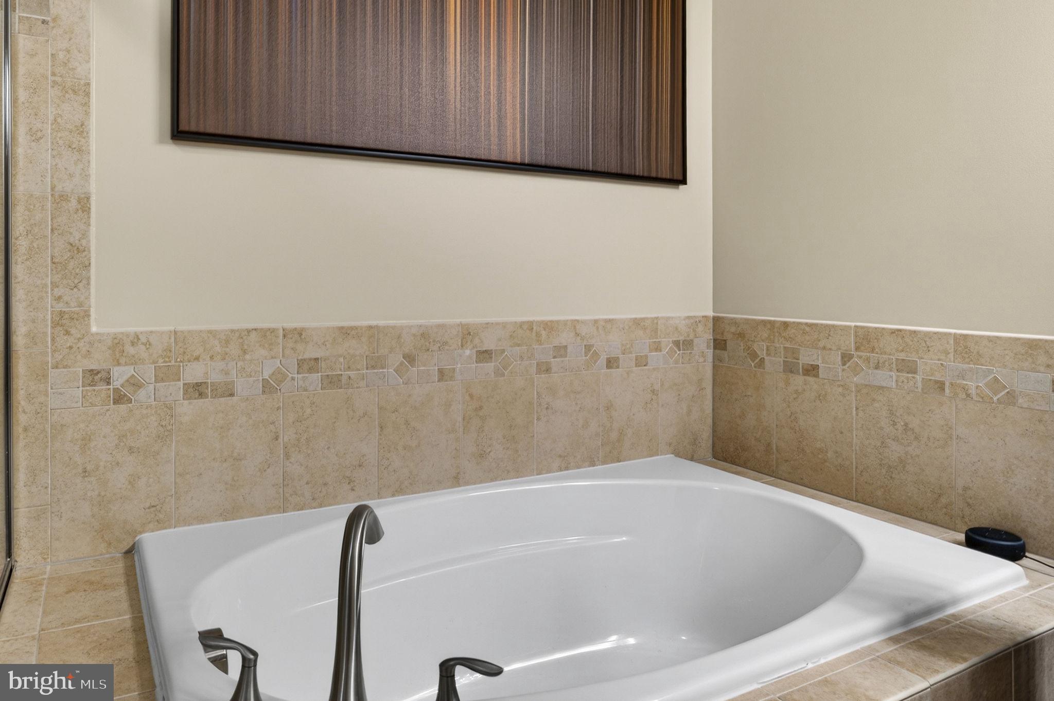 42553 Sunset Ridge Square Ashburn, VA 20148 - Photo 40 of 51 Primary bathroom