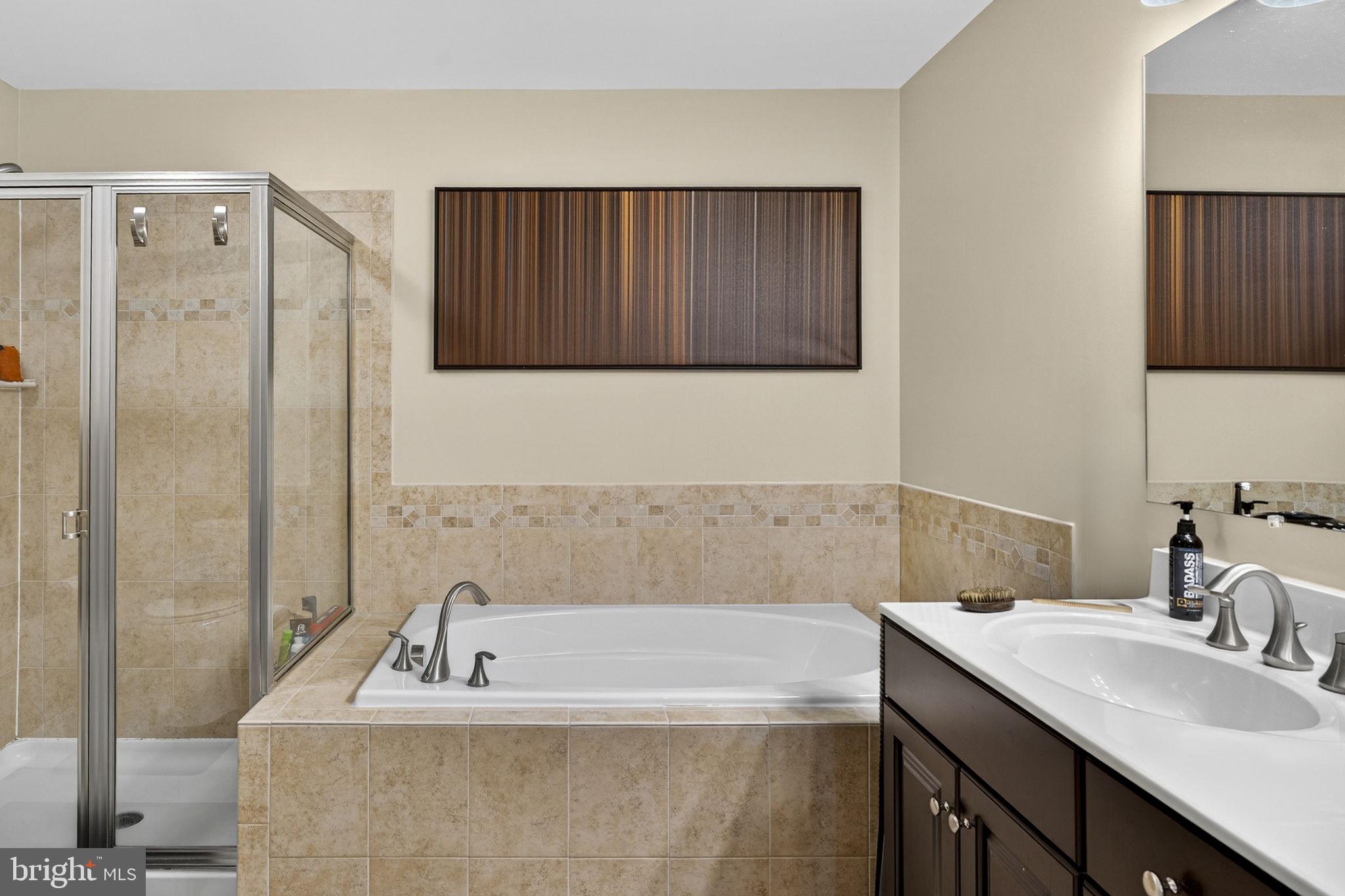 42553 Sunset Ridge Square Ashburn, VA 20148 - Photo 42 of 51 Primary bathroom