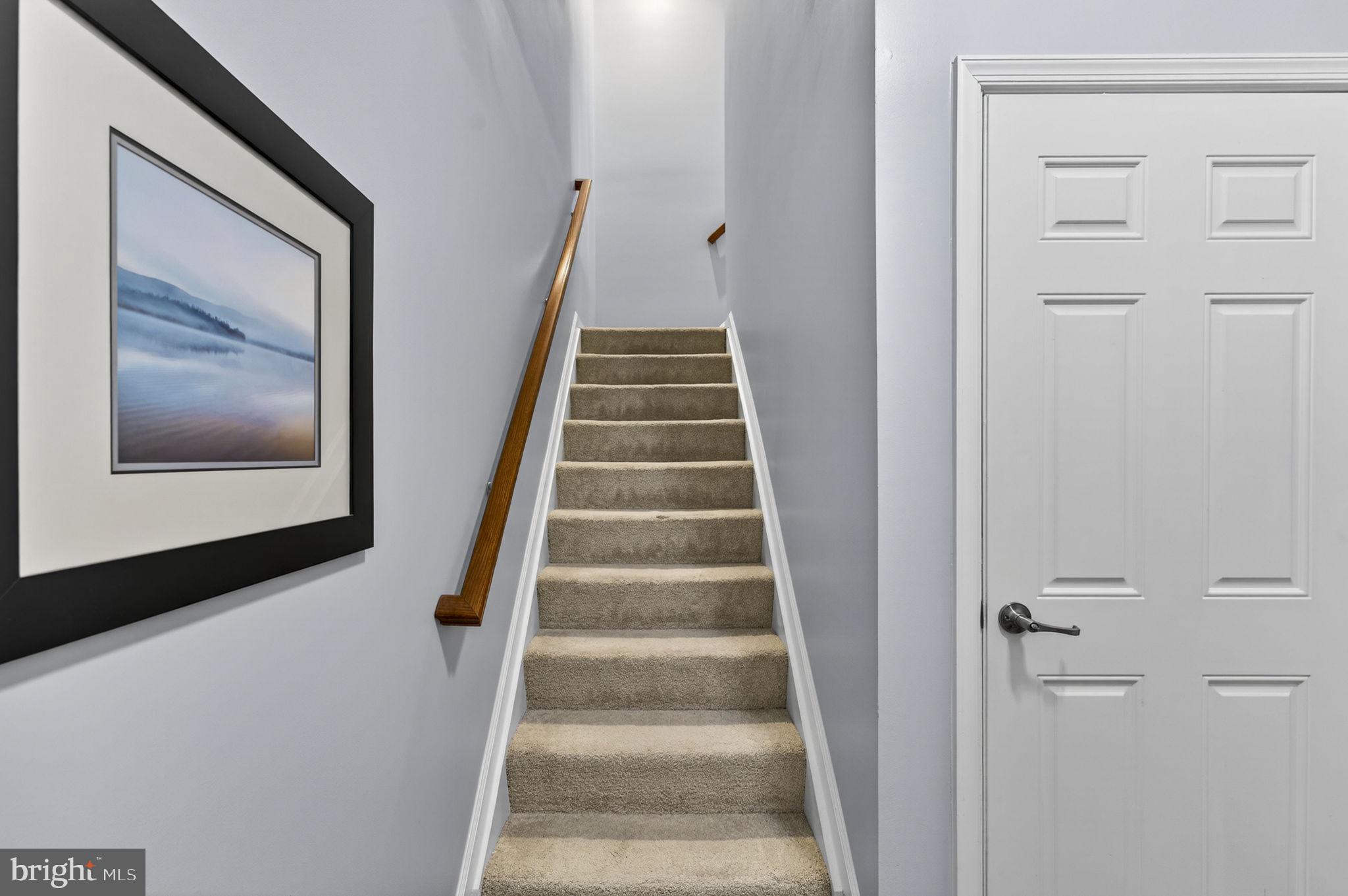 42553 Sunset Ridge Square Ashburn, VA 20148 - Photo 6 of 51 Entry