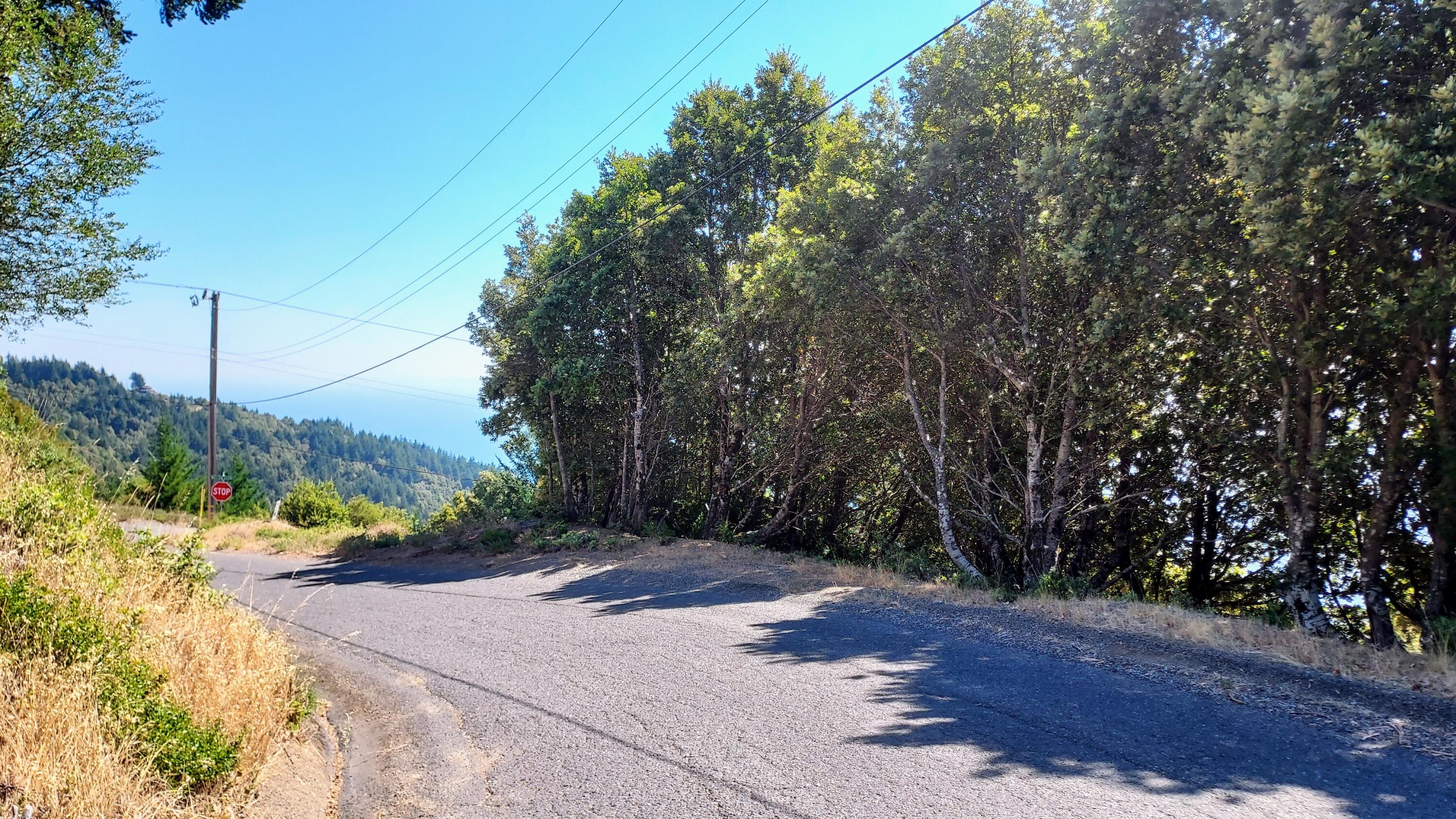 27 Cook Road Shelter Cove, CA 95589 - Photo 19 of 22