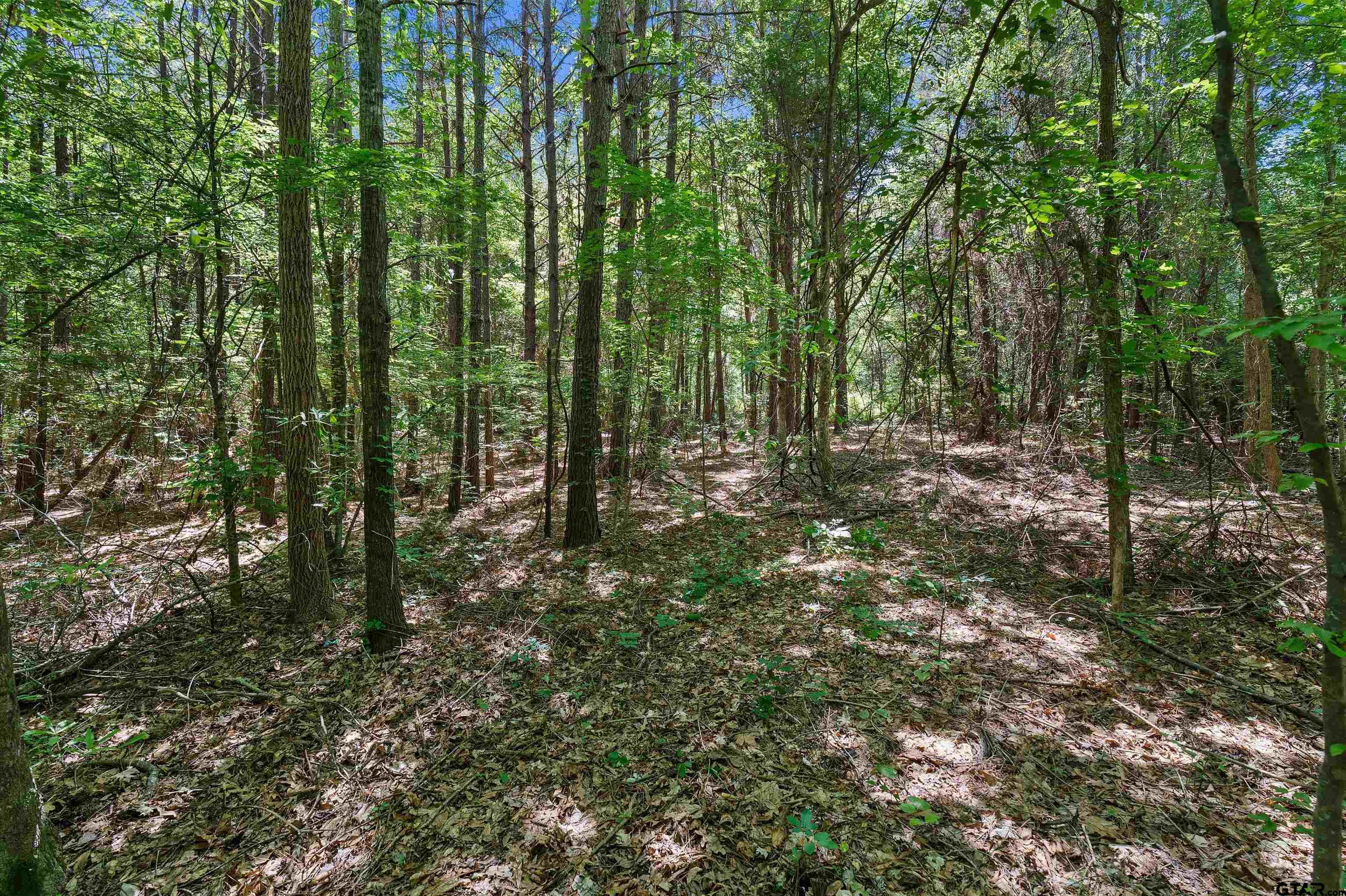 3361 (tract De Berry, TX 75639 - Photo 10 of 11