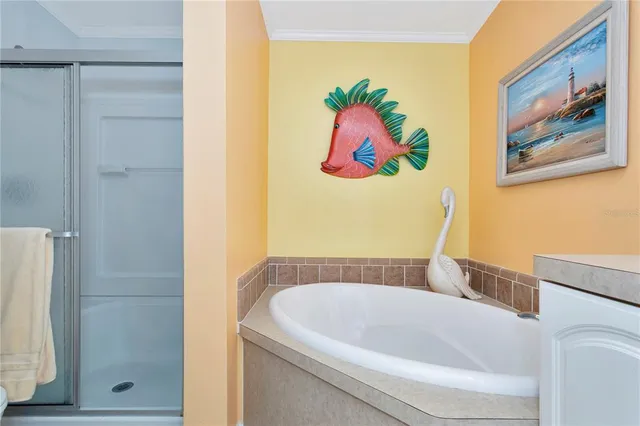 a bathroom with a bathtub and a shower